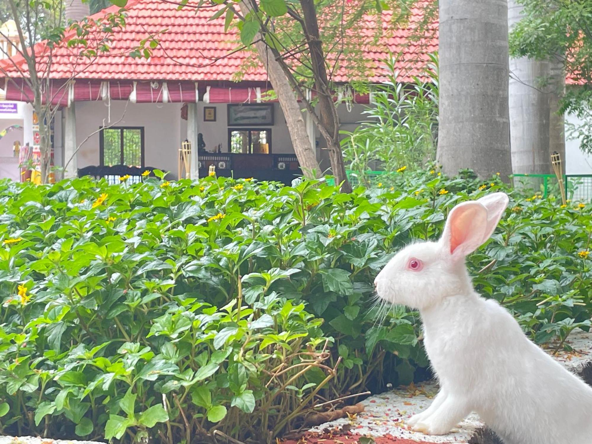Chola Heritage Resort Karaikkudi Extérieur photo